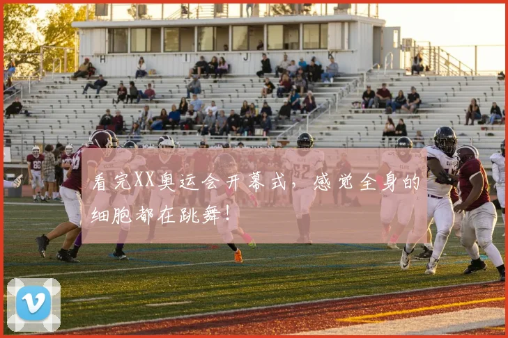 看完XX奥运会开幕式，感觉全身的细胞都在跳舞！