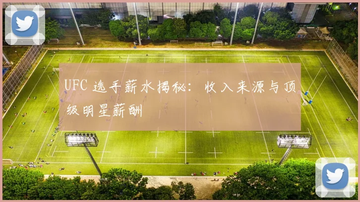UFC 选手薪水揭秘：收入来源与顶级明星薪酬