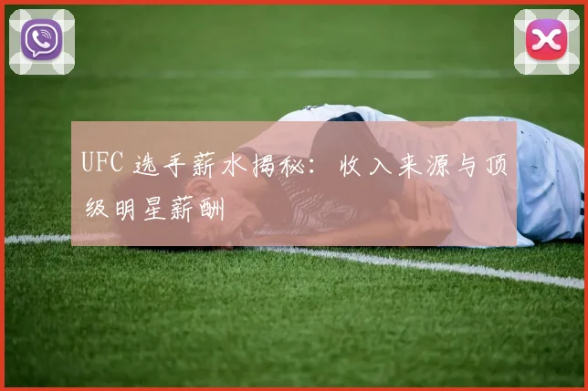 UFC 选手薪水揭秘:收入来源与顶级明星薪酬
